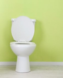 White toilet bowl in a bathroom