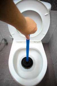 Clearing Clogged Toilet