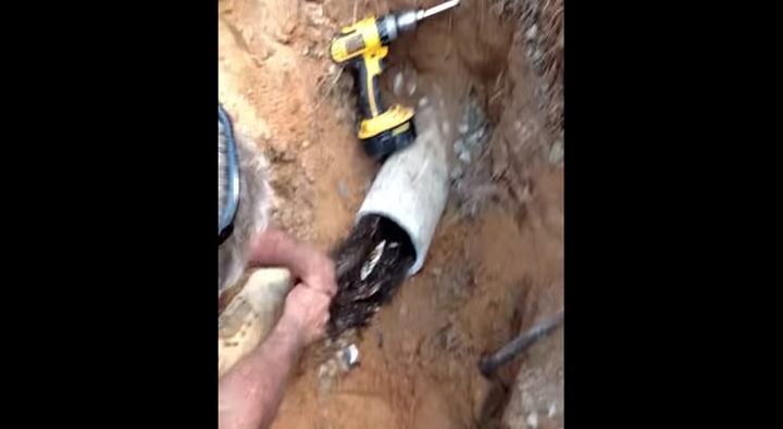 You Won’t Believe What He Pulled Out Of Their Drain Pipe. We Were Shocked!
