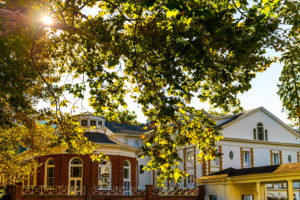 historic downtown Highland Springs, VA with sunlight through the branches of a tree. 