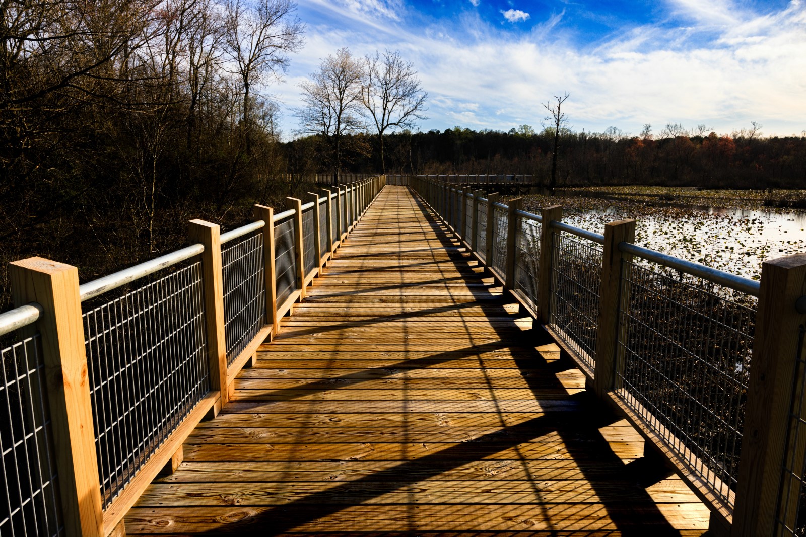 Closeup of a boardwalk at the Tuckahoe Creek Park in Tuckahoe, Virginia